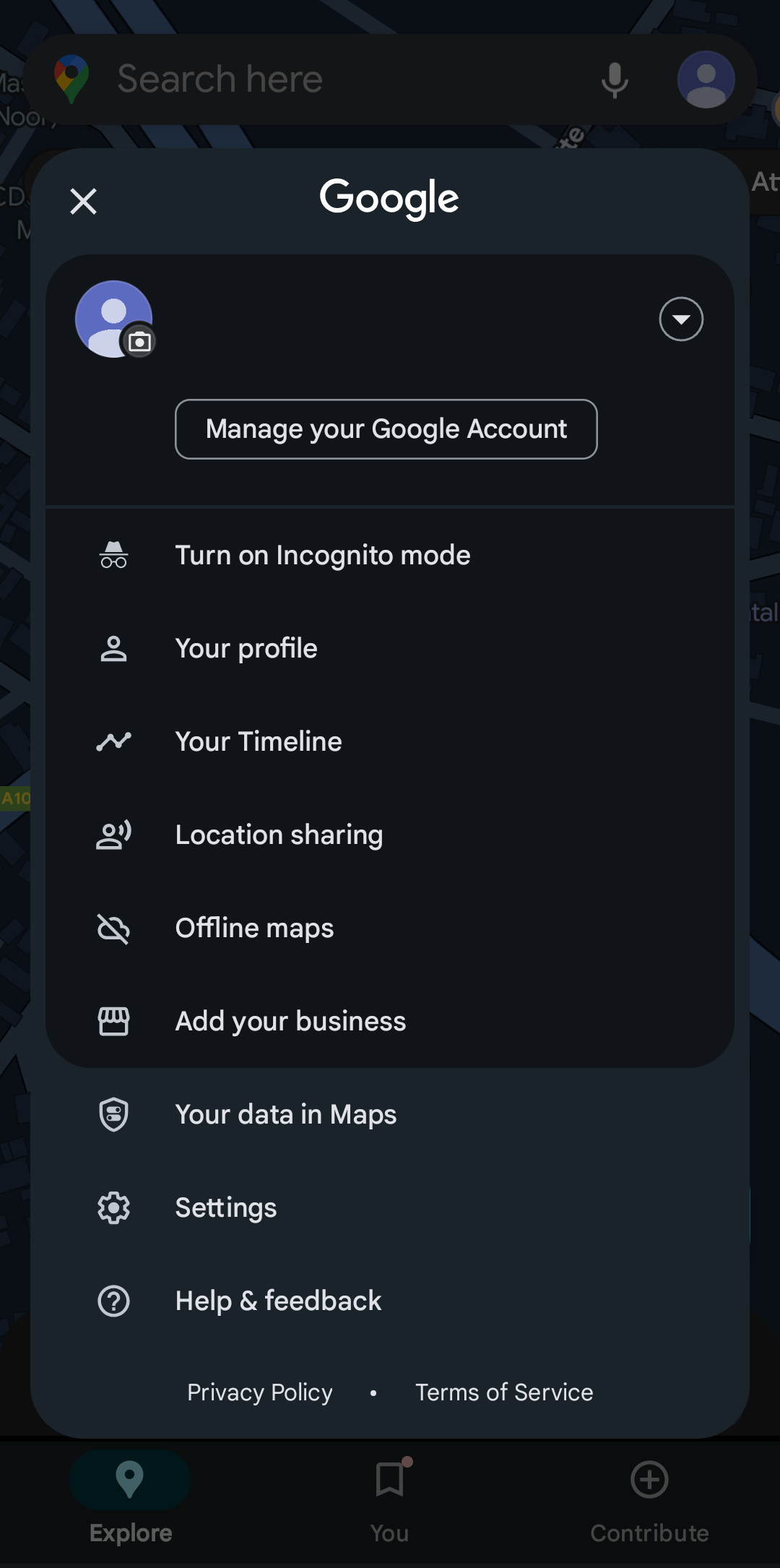 gmaps offline maps